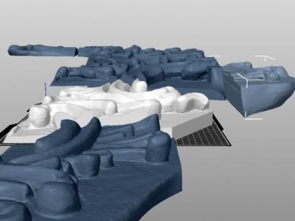 Abbildung 1: Modelle auf der Druckplatte