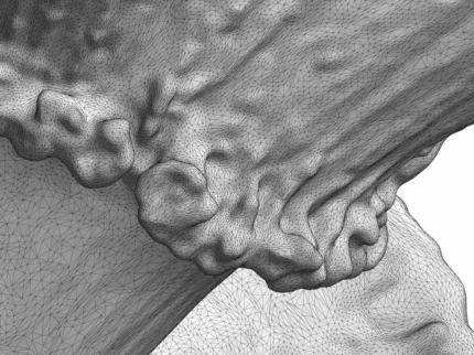 noch näher (die angrenzenden Dreiecke sind hier deutlich sichtbar)