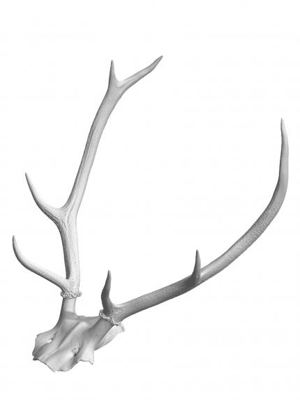 das ganze virtuelle Modell