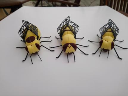 drei Arten kleinerer Modelle: Königin, Drohne, Arbeiterin