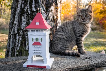 Das Model posiert mit einer Miezekatze.
